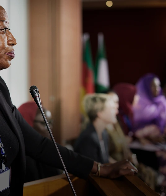 Policymakers, government agencies and development partners